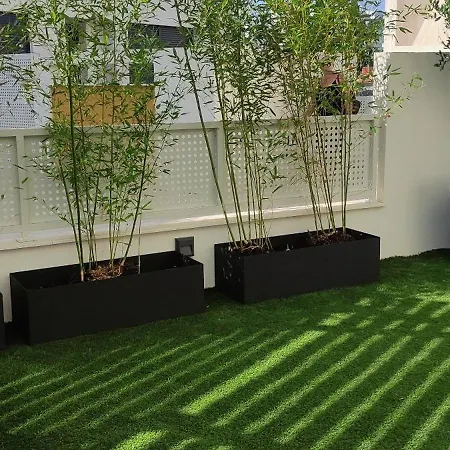 Apartment Borik 2024