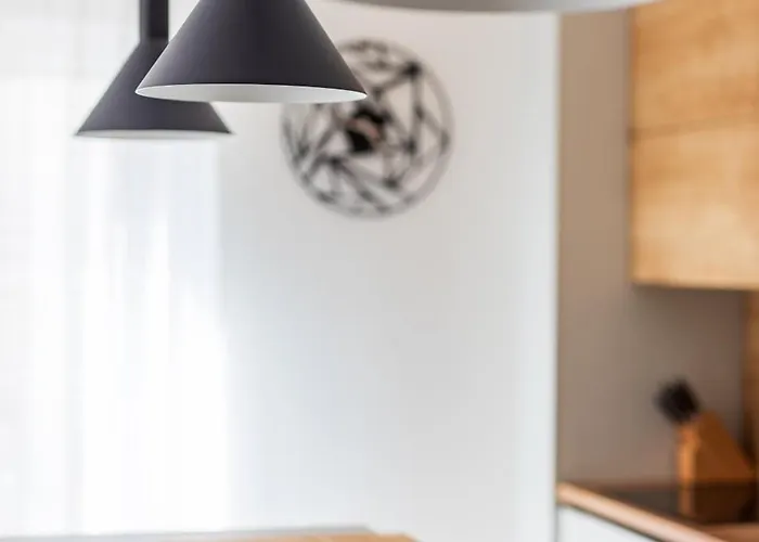 Borik 2024 * זאדאר