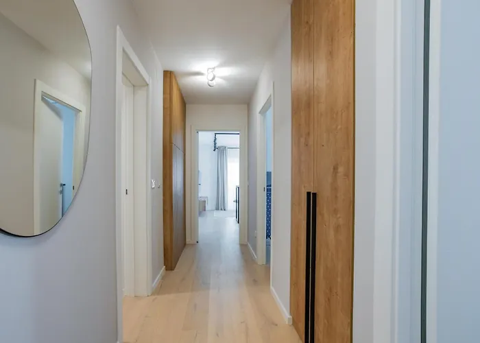 Borik 2024 זאדאר