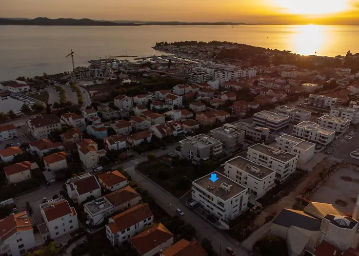 Borik 2024 זאדאר