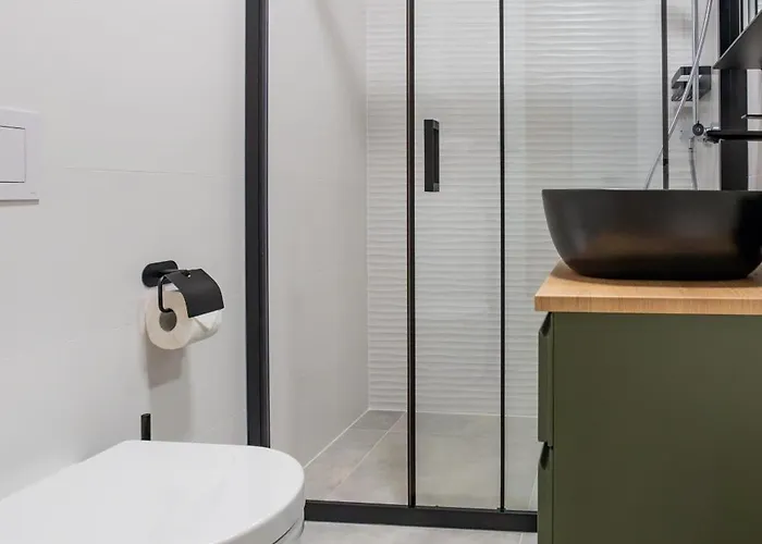 Borik 2024 * זאדאר