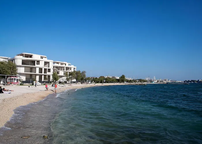 Borik 2024 * זאדאר